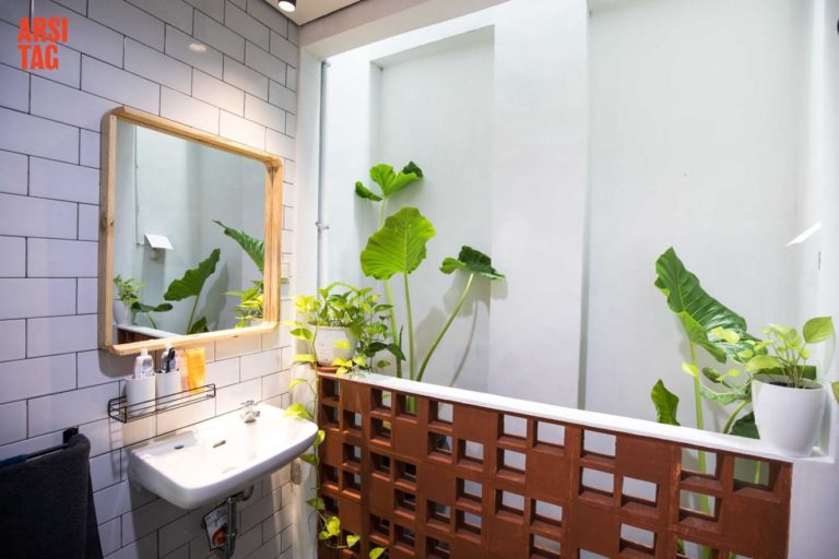 tanaman indoor minimalis